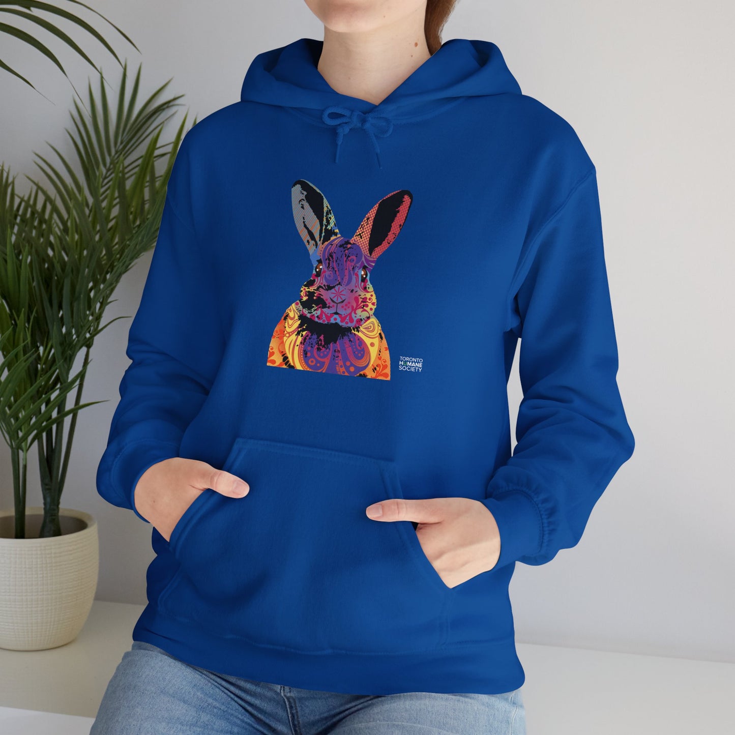 Unisex Hooded Sweatshirt - Abstract Rabbit