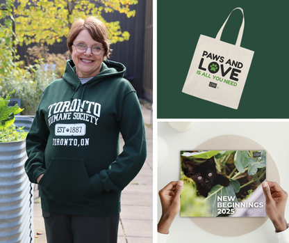 Bundle: Unisex Forest Green Established Hoodie + Tote Bag + 2025 New Beginnings Calendar