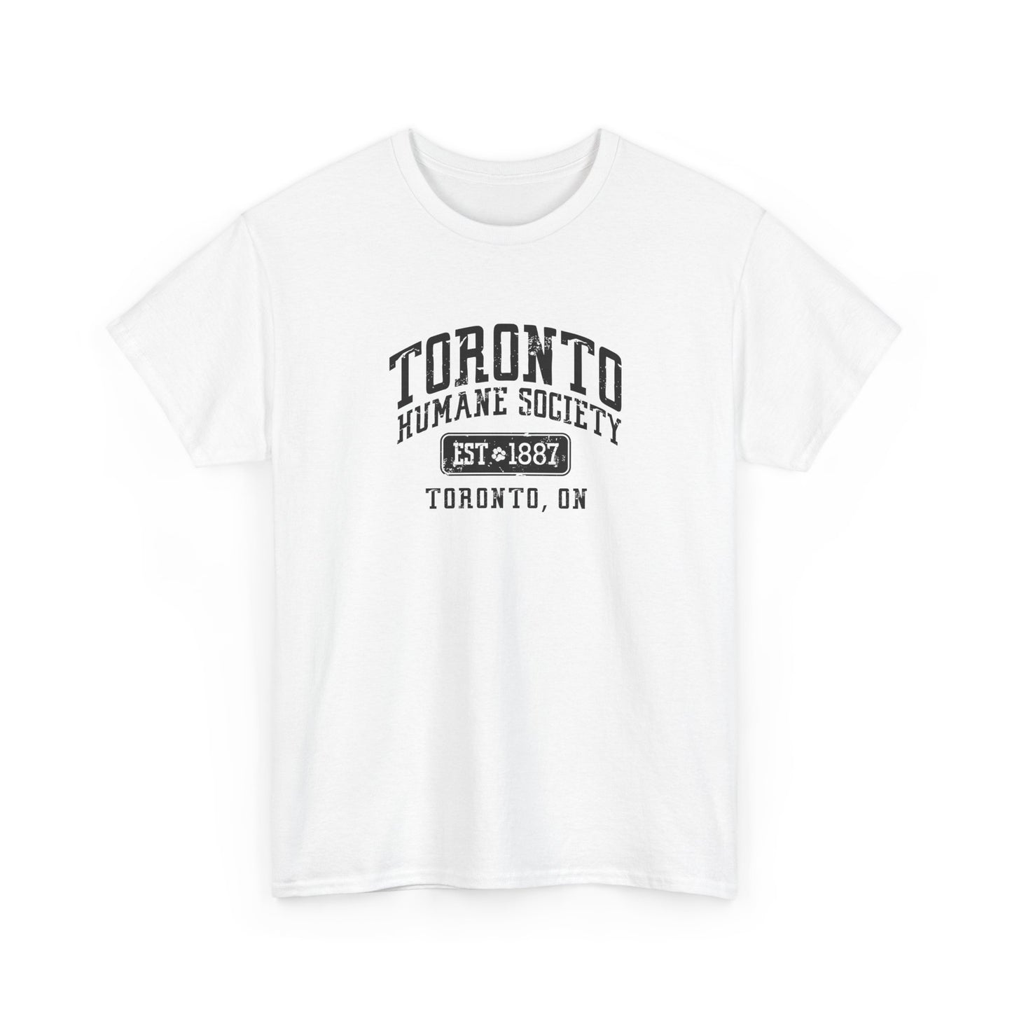 Unisex Cotton Tee - Established