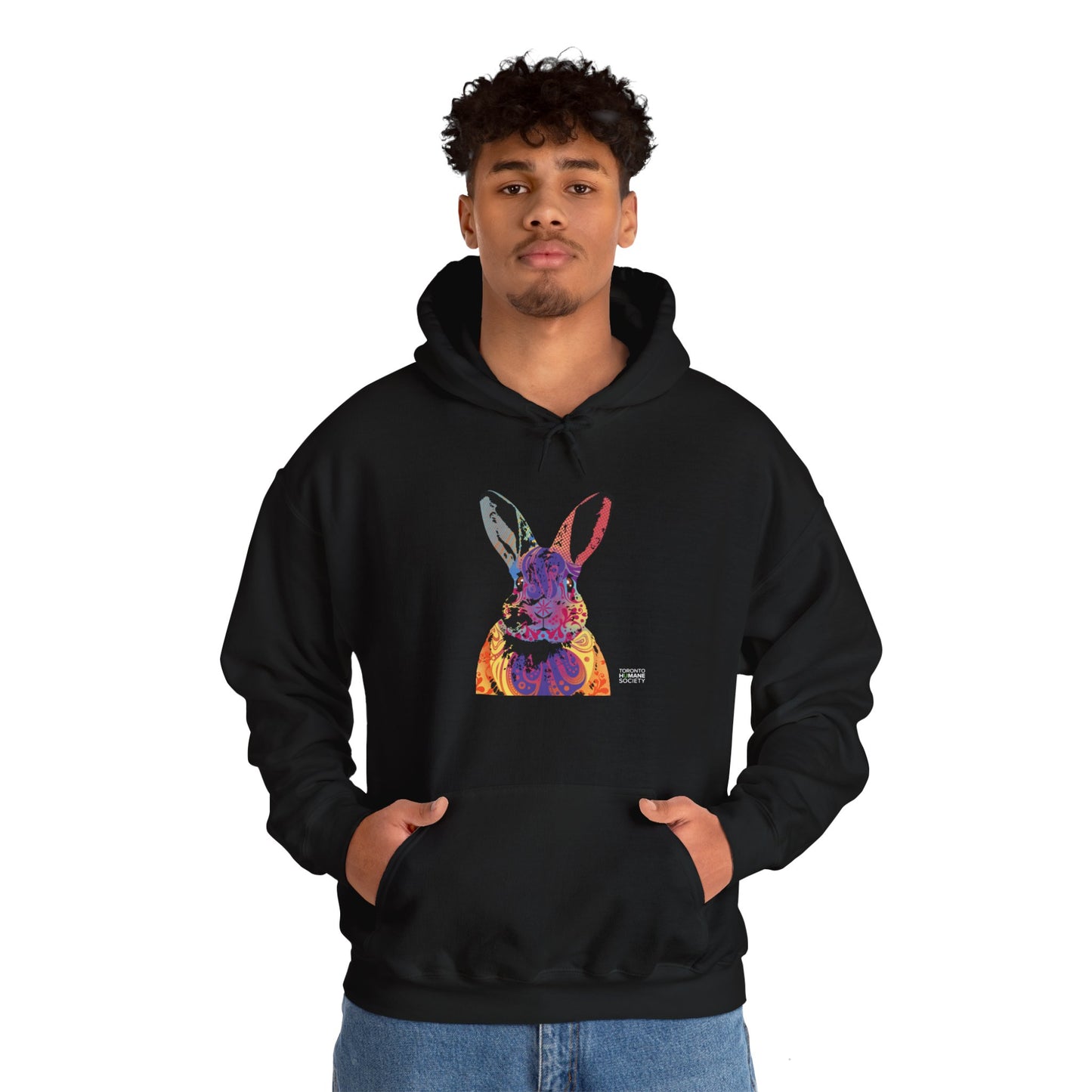 Unisex Hooded Sweatshirt - Abstract Rabbit