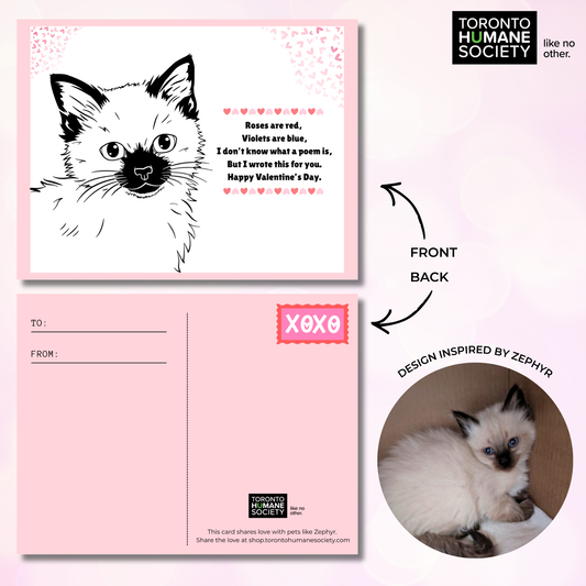Valentine’s Day Cat Cards - 10 Pack
