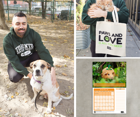 Bundle: Unisex Forest Green Established Hoodie + Tote Bag + 2025 New Beginnings Calendar