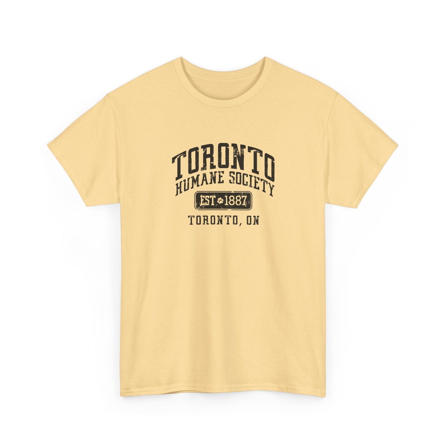 Unisex Cotton Tee - Established