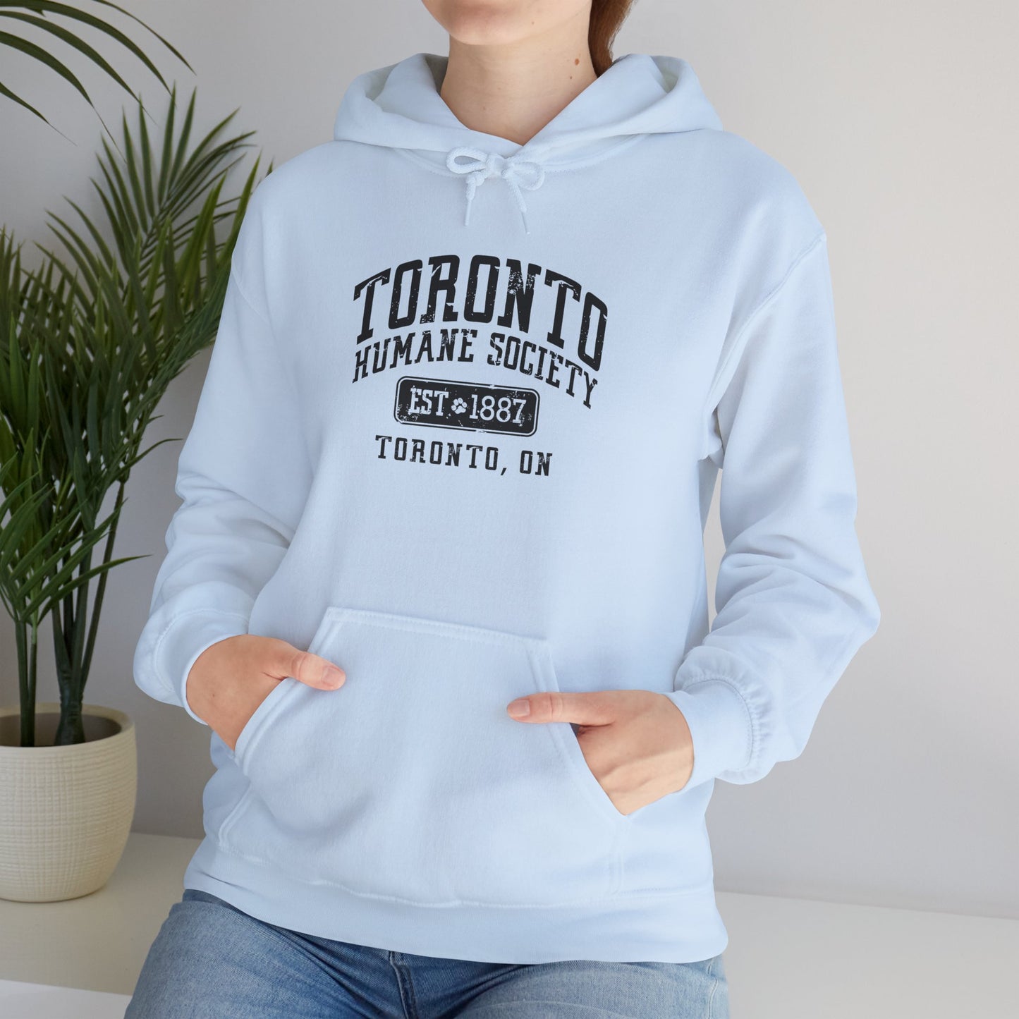 Unisex Hooded Sweatshirt - Established
