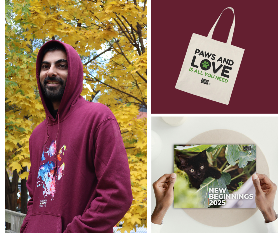 Bundle: Unisex Maroon Paw Print Hoddie - Established + Tote Bag + 2025 New Beginnings Calendar