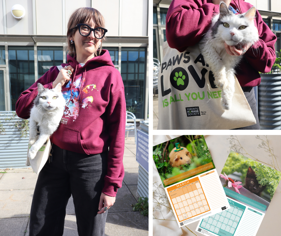 Bundle: Unisex Maroon Paw Print Hoddie - Established + Tote Bag + 2025 New Beginnings Calendar