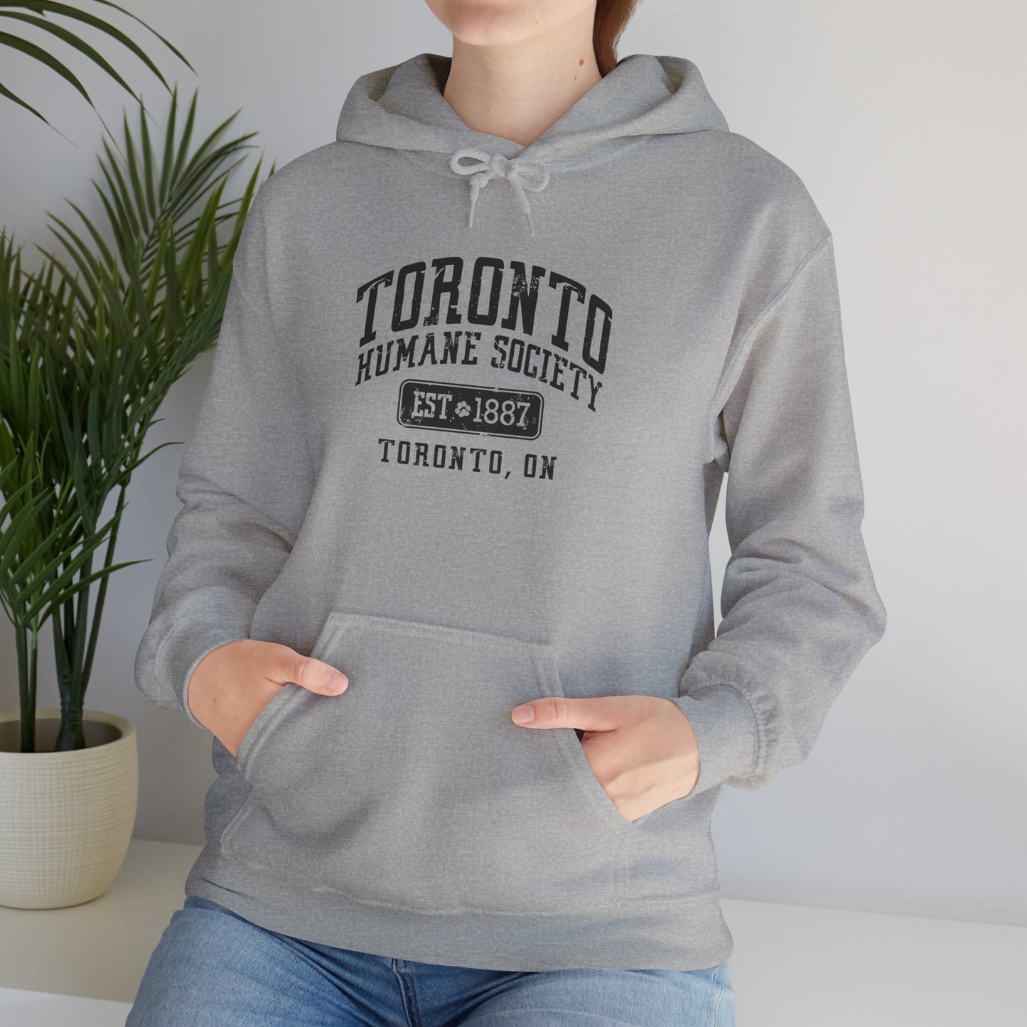 Unisex Hooded Sweatshirt - Established