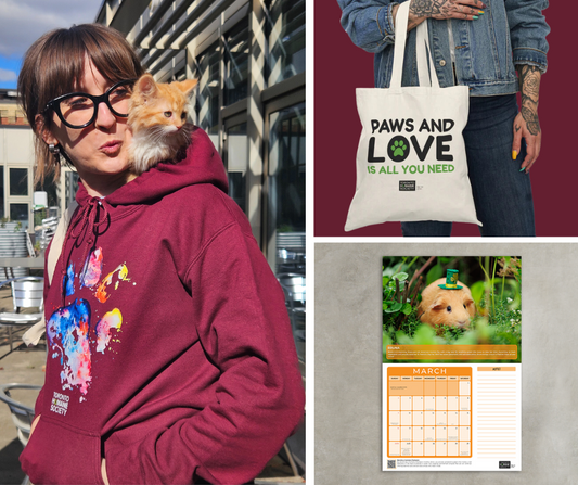 Bundle: Unisex Maroon Paw Print Hoddie - Established + Tote Bag + 2025 New Beginnings Calendar