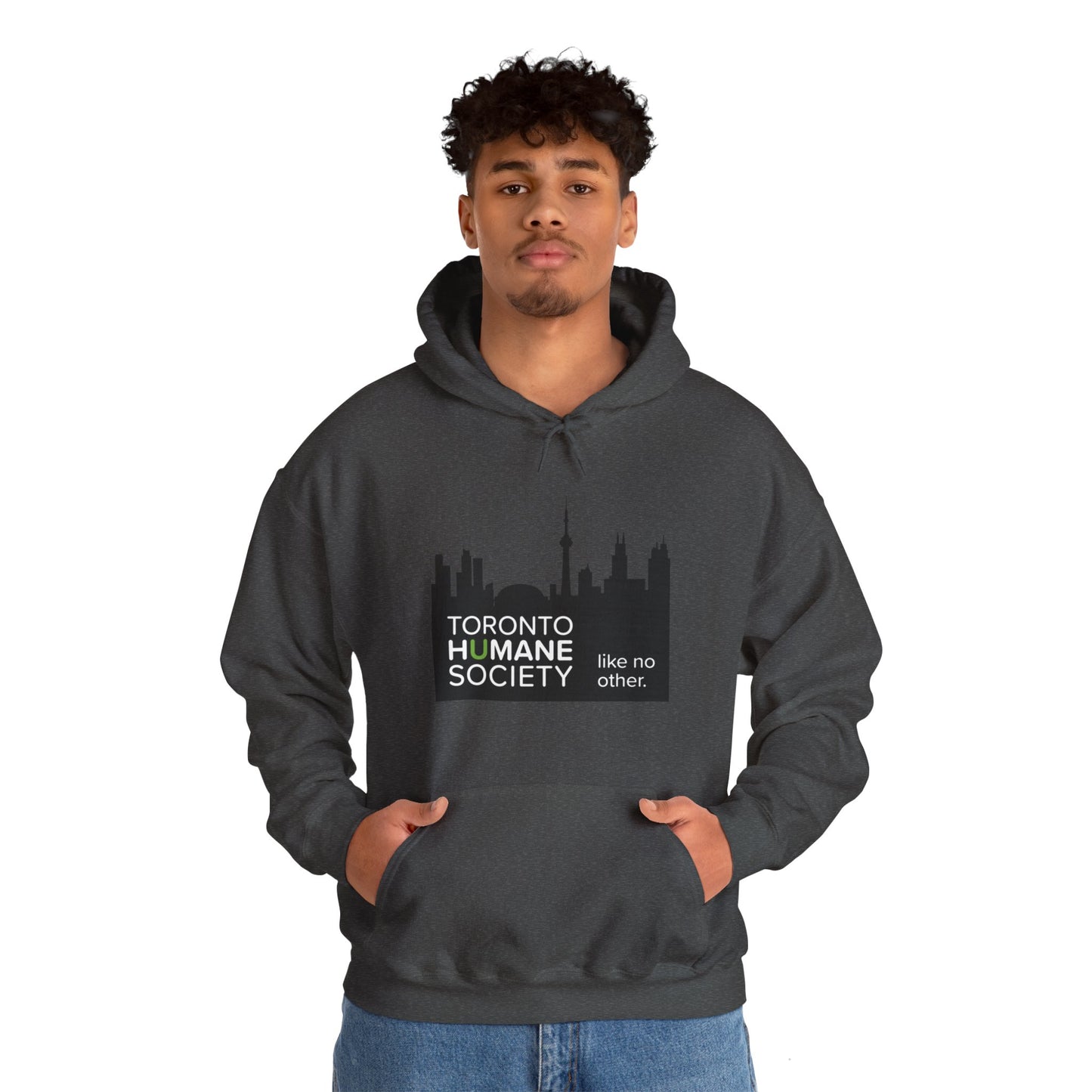 Unisex Hooded Sweatshirt - Toronto Skyline