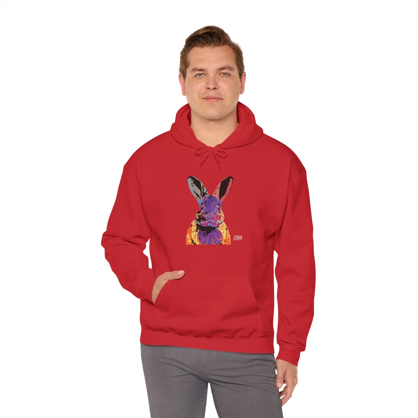 Unisex Hooded Sweatshirt - Abstract Rabbit