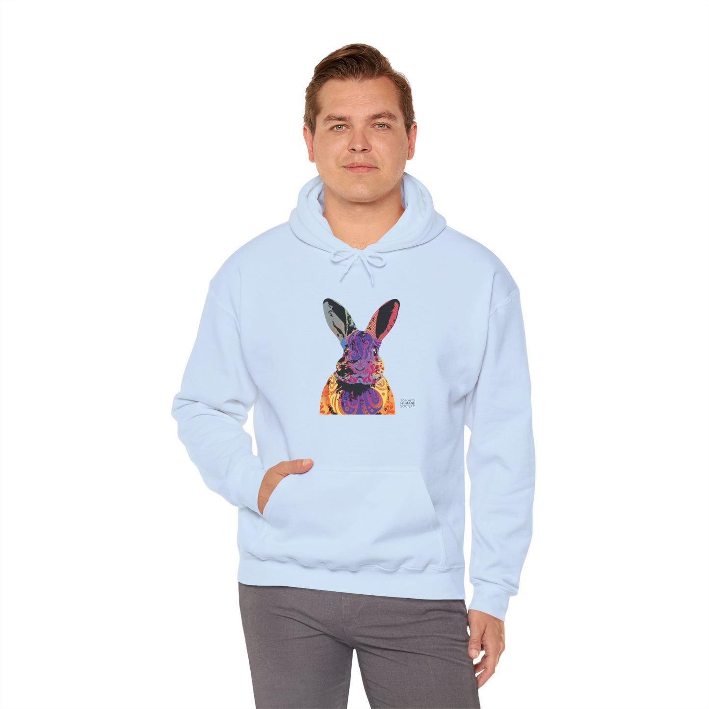 Unisex Hooded Sweatshirt - Abstract Rabbit