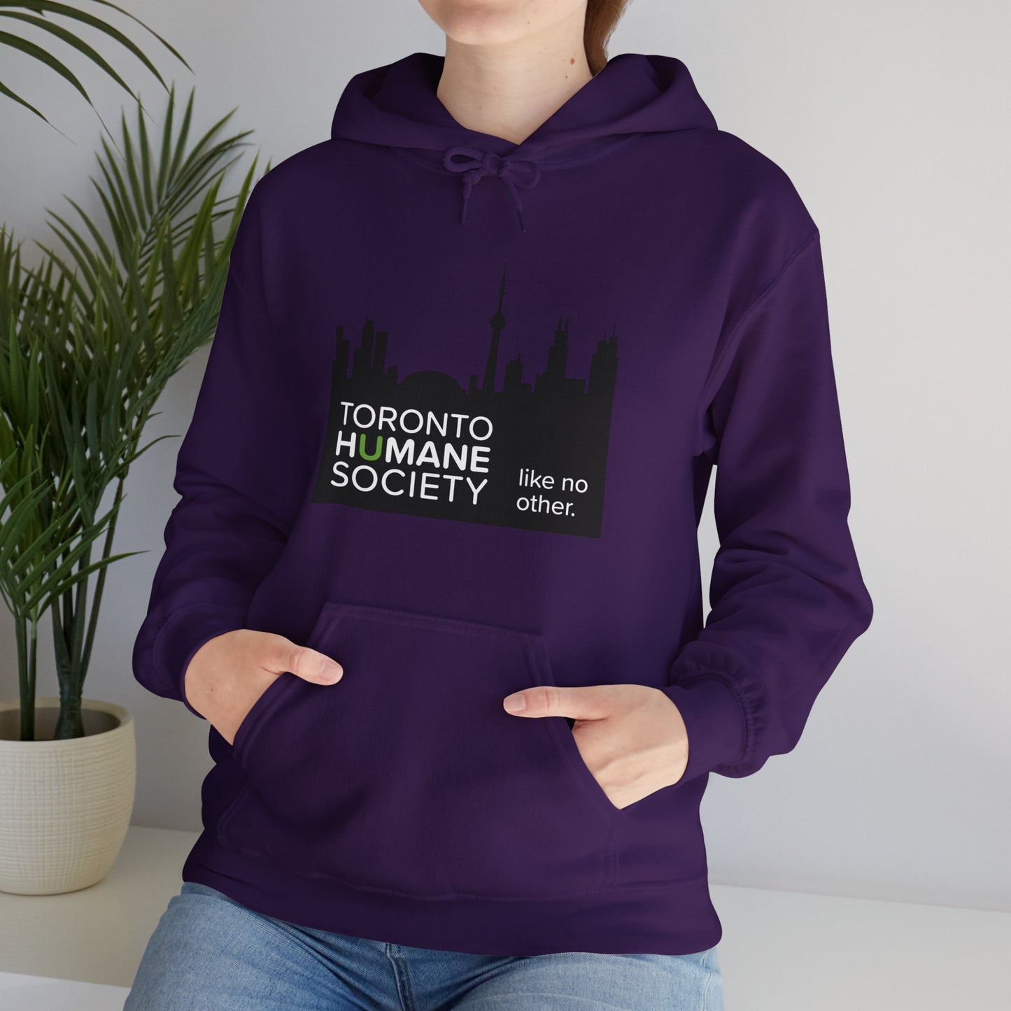 Unisex Hooded Sweatshirt - Toronto Skyline