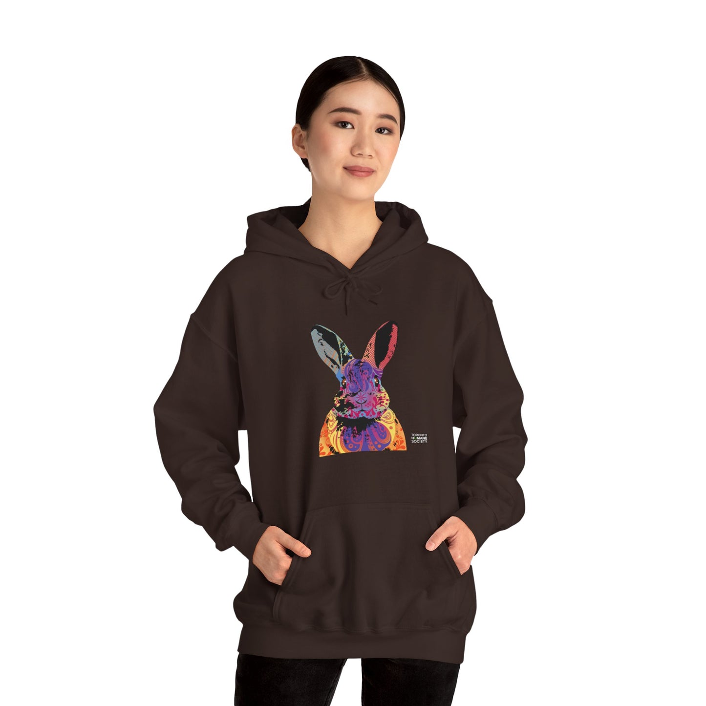 Unisex Hooded Sweatshirt - Abstract Rabbit