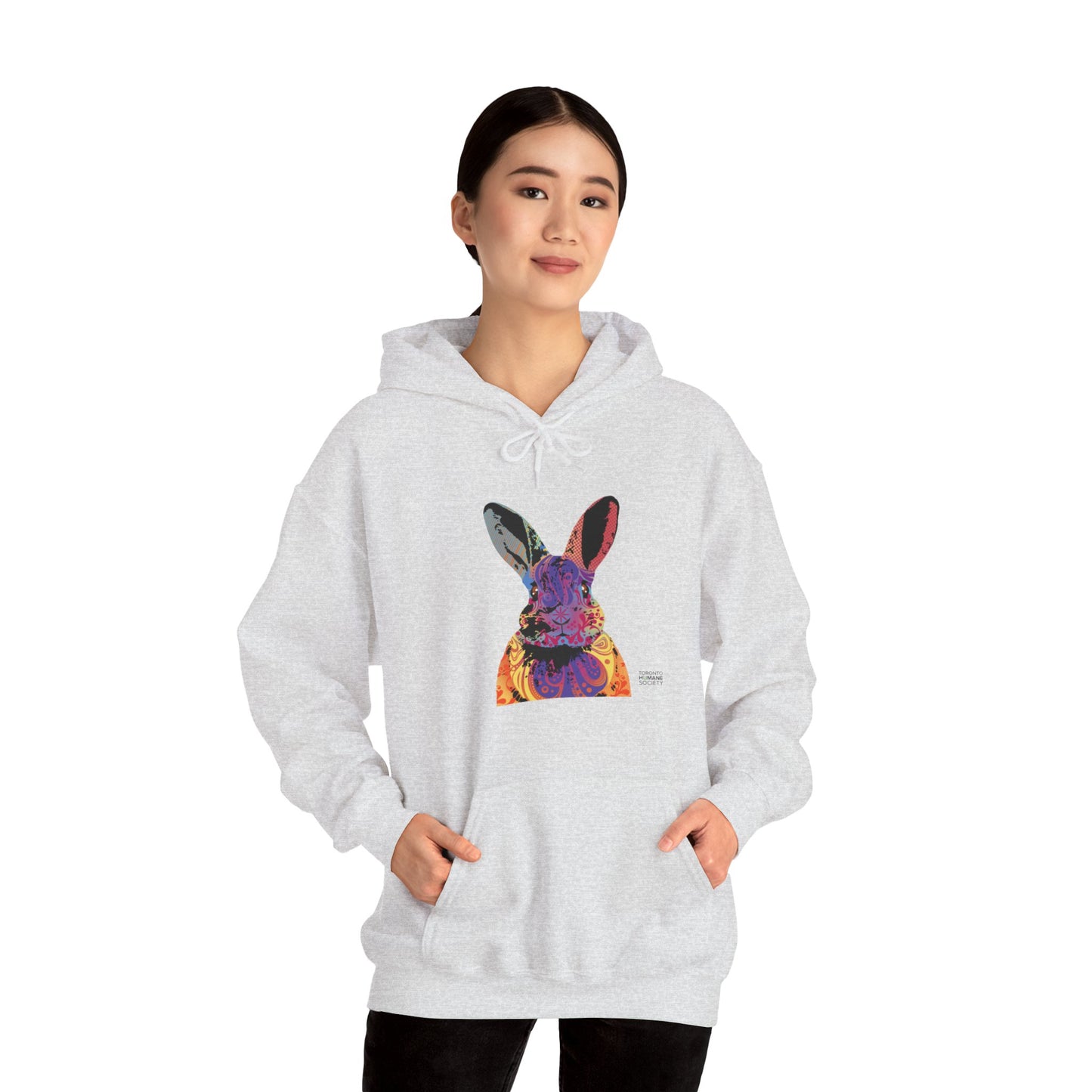 Unisex Hooded Sweatshirt - Abstract Rabbit