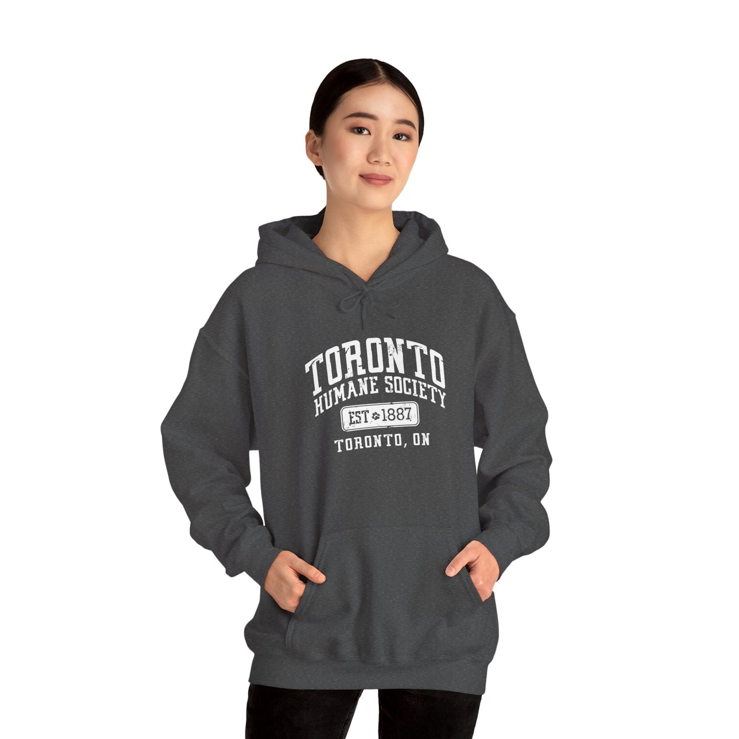 Unisex Hooded Sweatshirt - Established