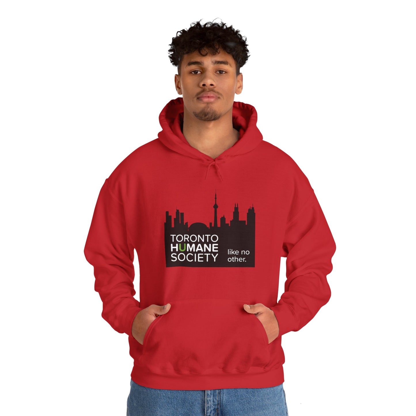 Unisex Hooded Sweatshirt - Toronto Skyline