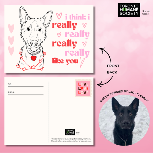 Valentine’s Day Dog Cards - 10 Pack