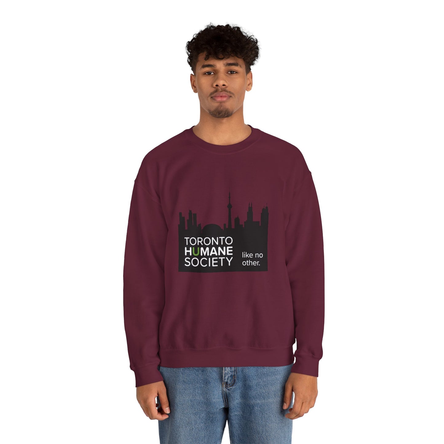 Unisex Crewneck Sweatshirt - Toronto Skyline