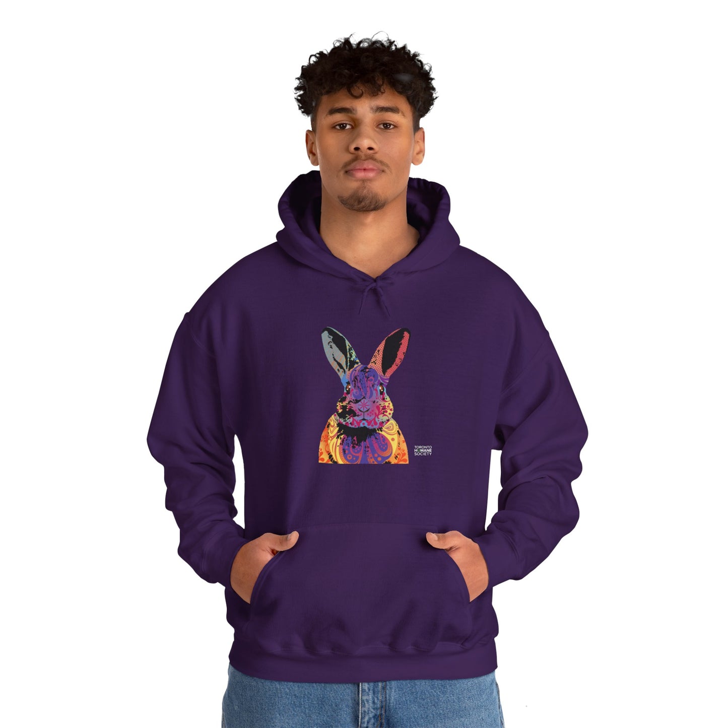 Unisex Hooded Sweatshirt - Abstract Rabbit