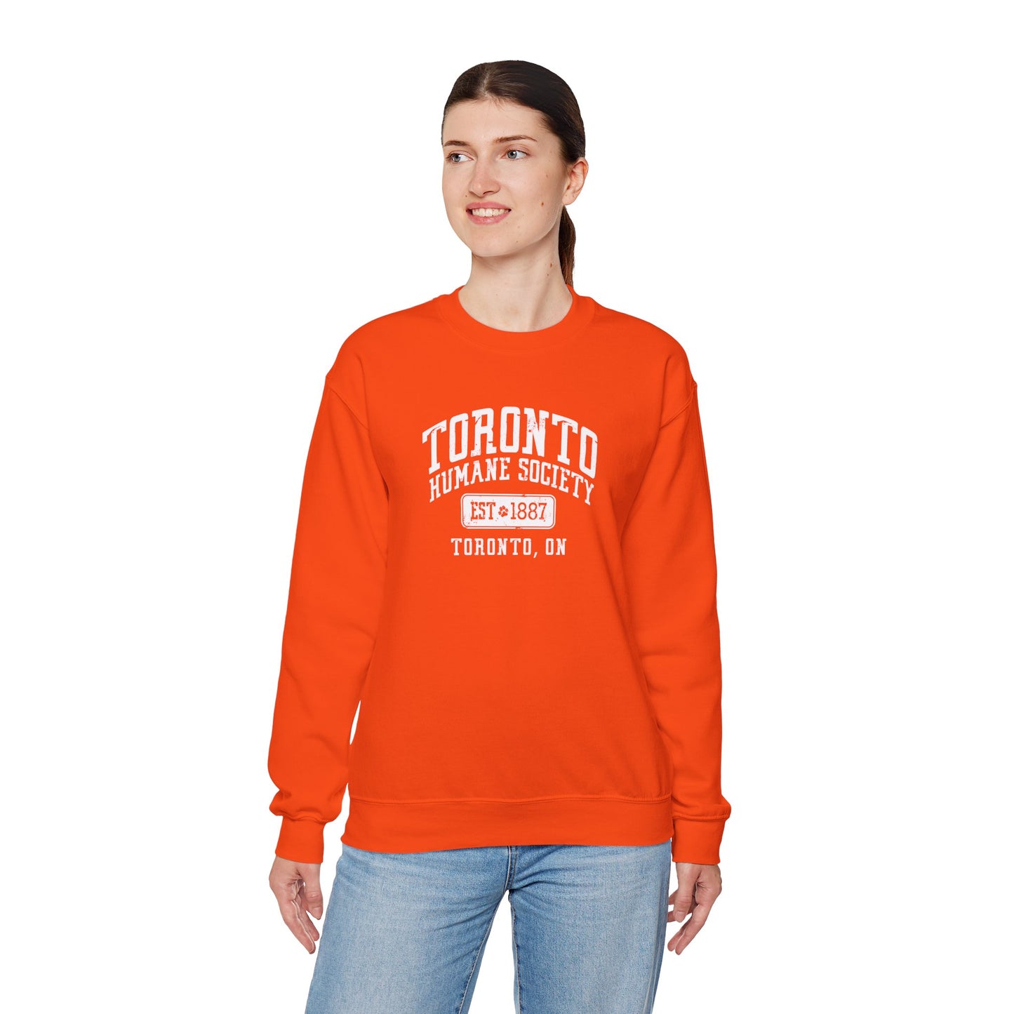 Unisex Crewneck Sweatshirt - Established