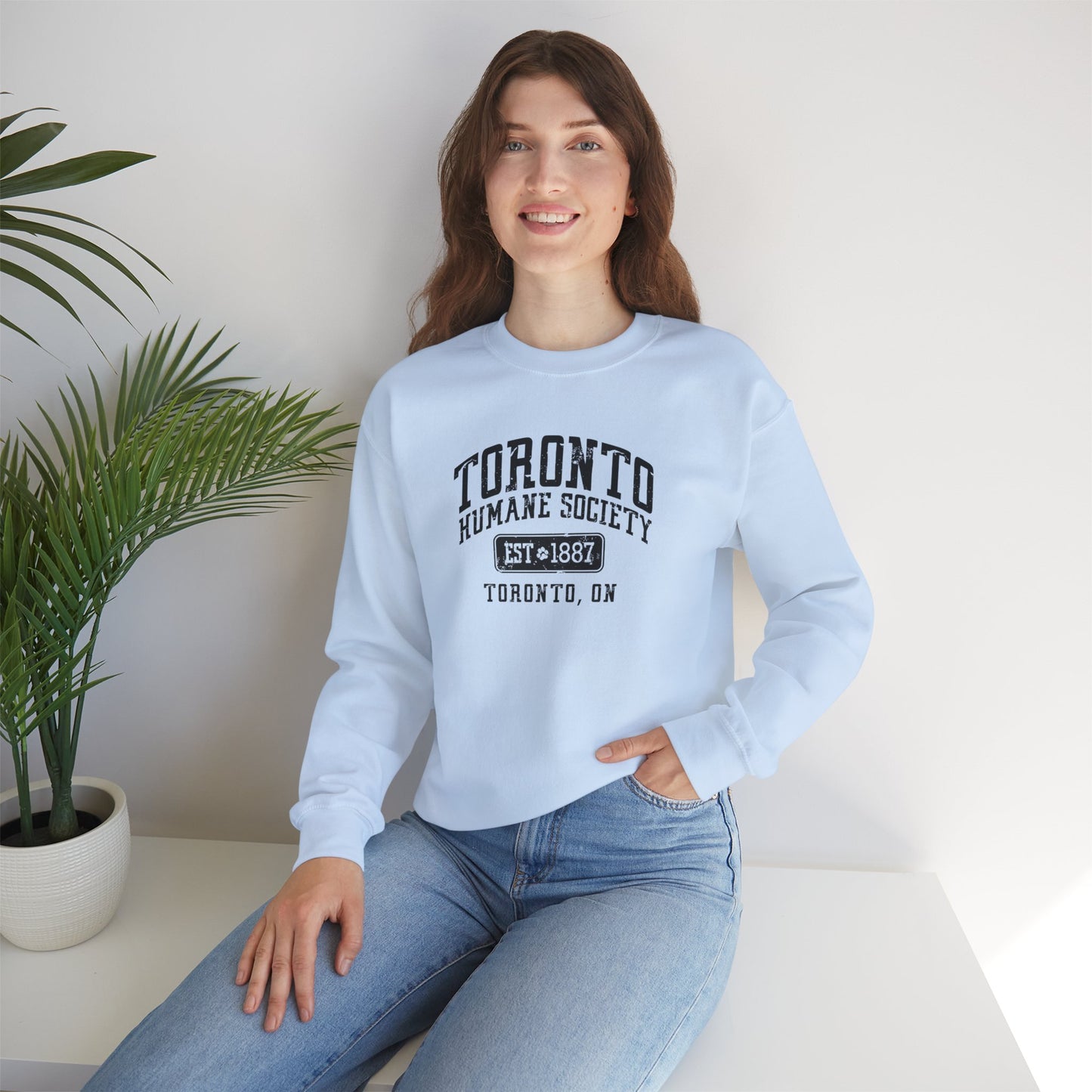 Unisex Crewneck Sweatshirt - Established