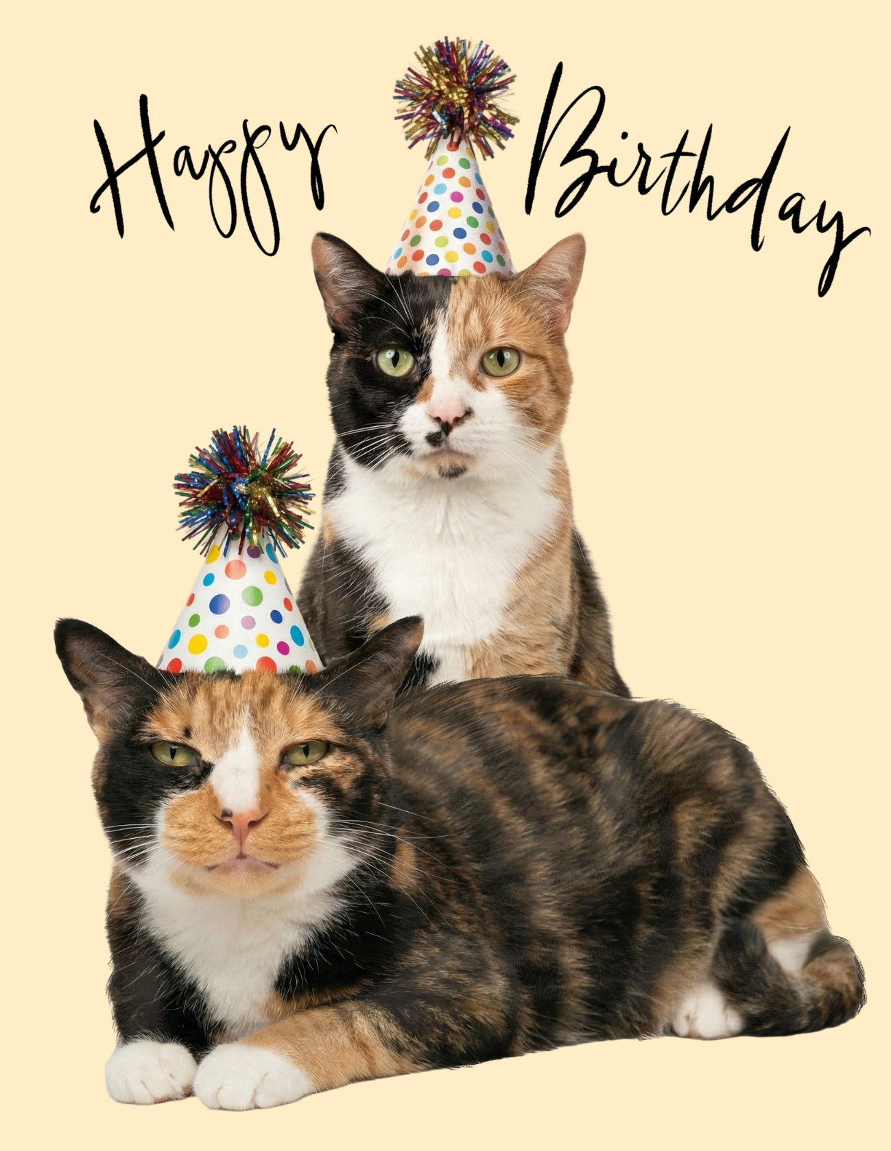 Happy Birthday Card – Betsy and Lindsay