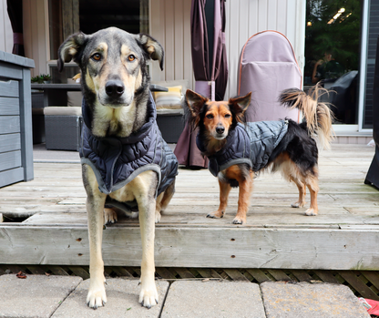 Go Fresh Pet Jackets -  Fleece lined