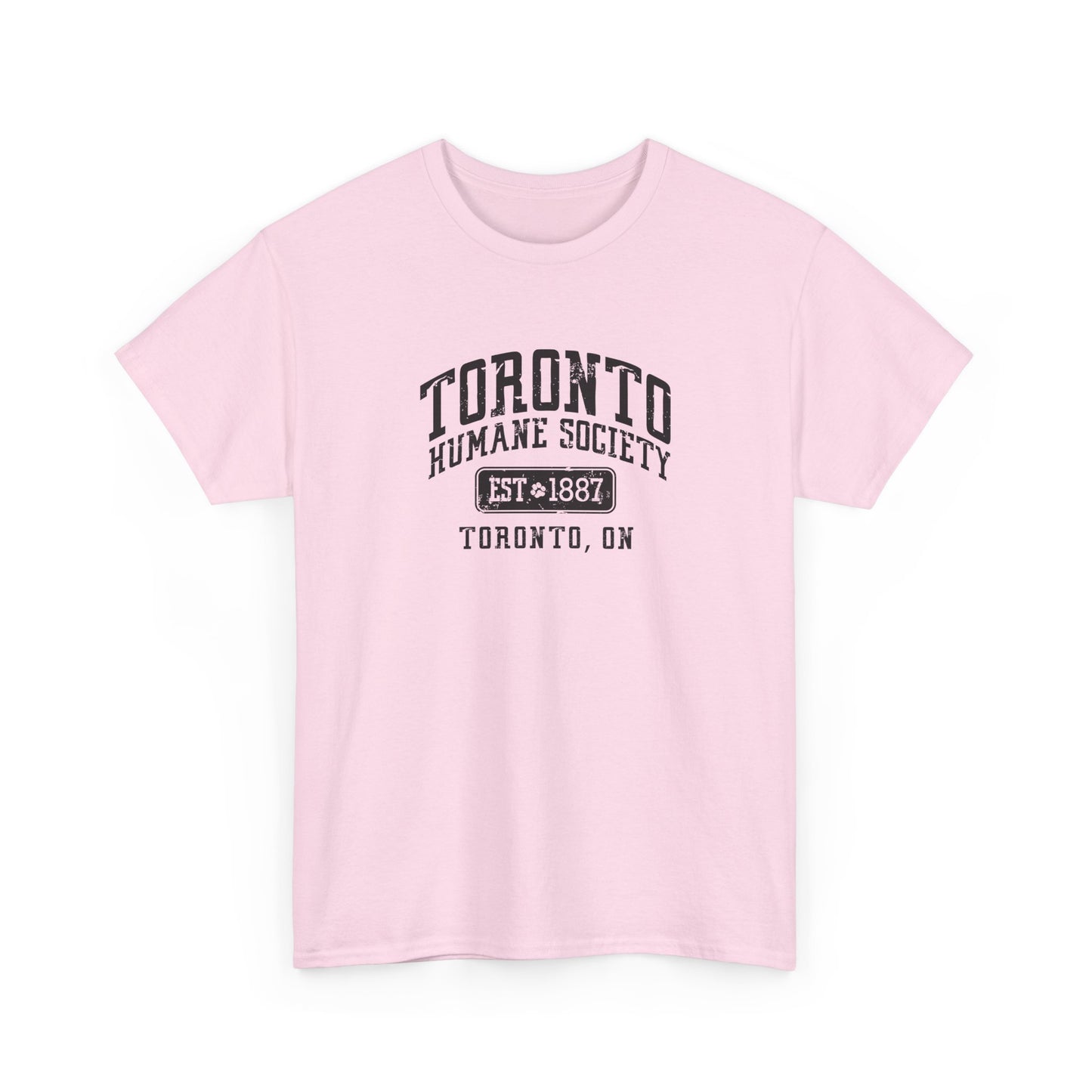 Unisex Cotton Tee - Established