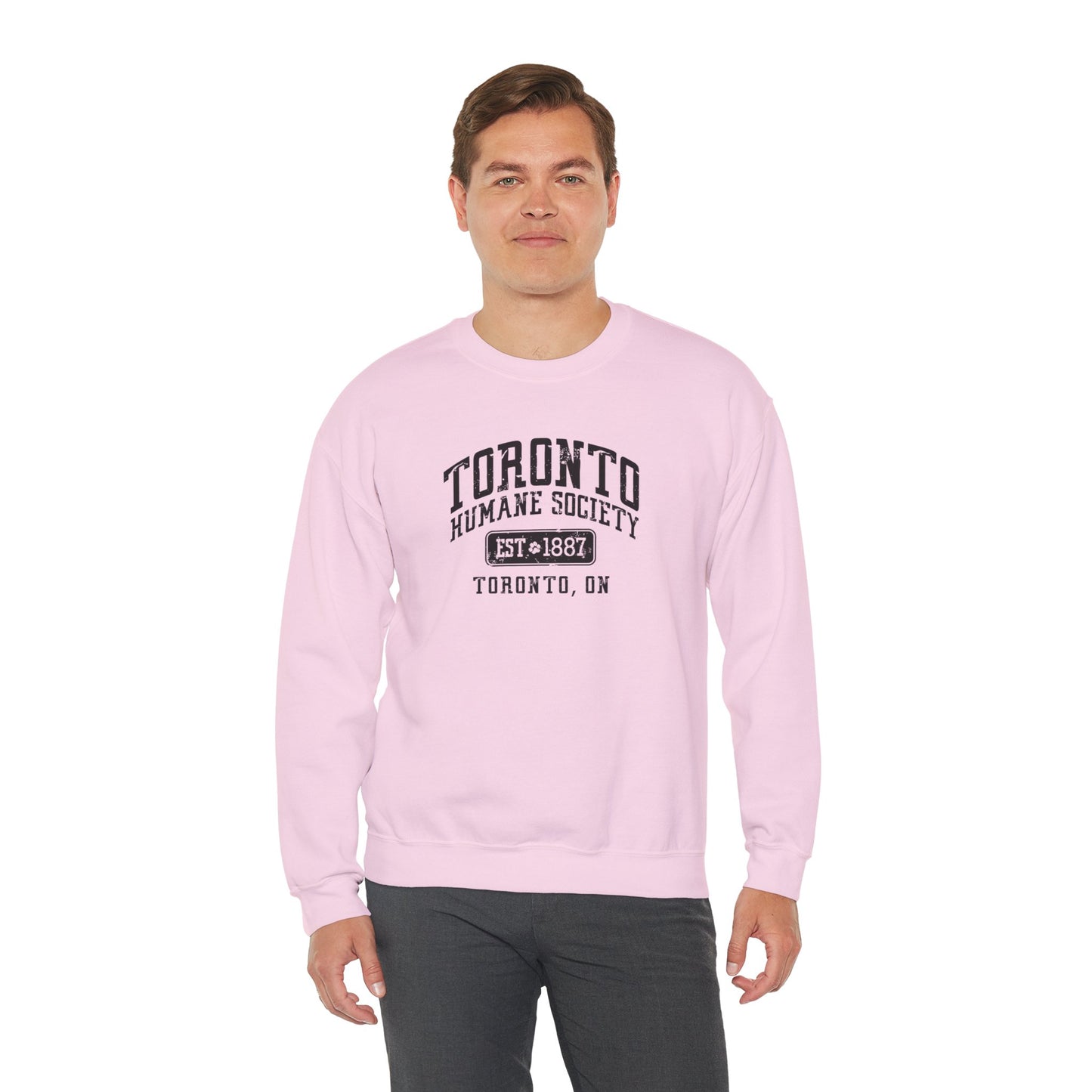 Unisex Crewneck Sweatshirt - Established