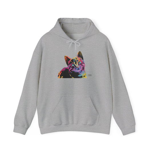 Unisex Hooded Sweatshirt - Abstract Cat