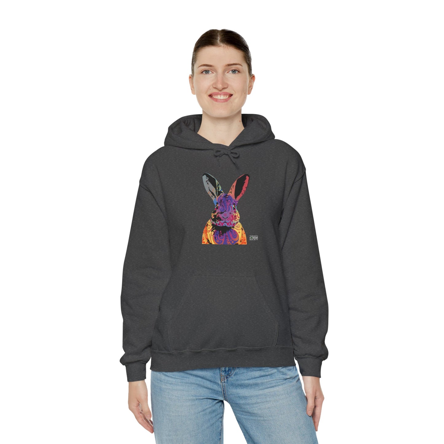 Unisex Hooded Sweatshirt - Abstract Rabbit