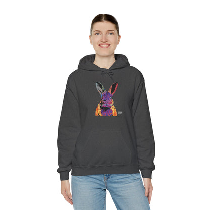 Unisex Hooded Sweatshirt - Abstract Rabbit