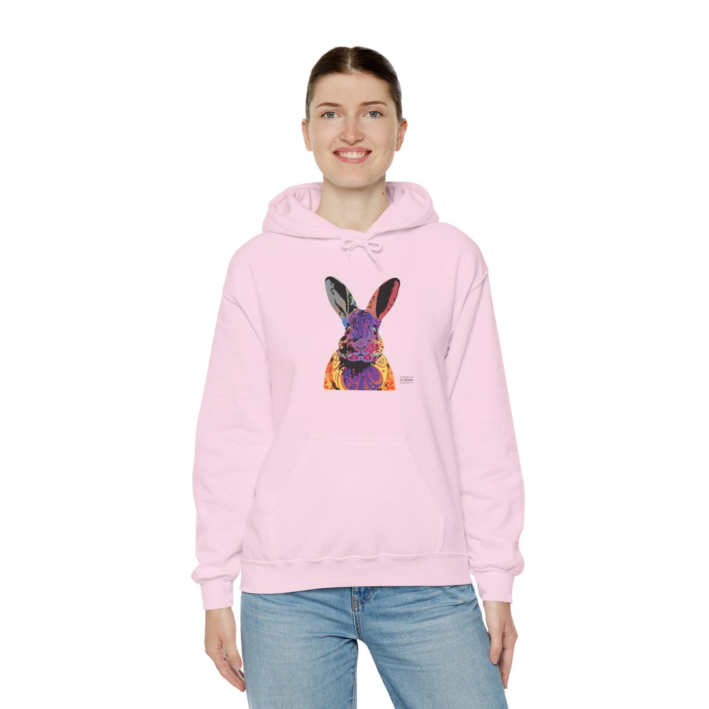 Unisex Hooded Sweatshirt - Abstract Rabbit