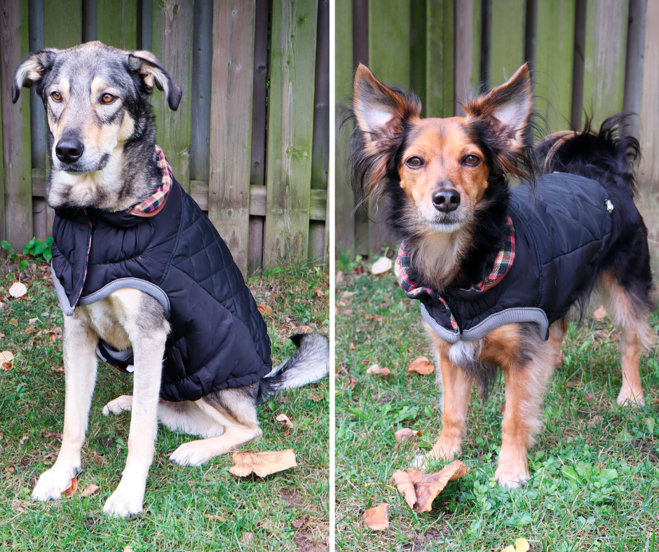 Go Fresh Pet Jackets - Plaid lined