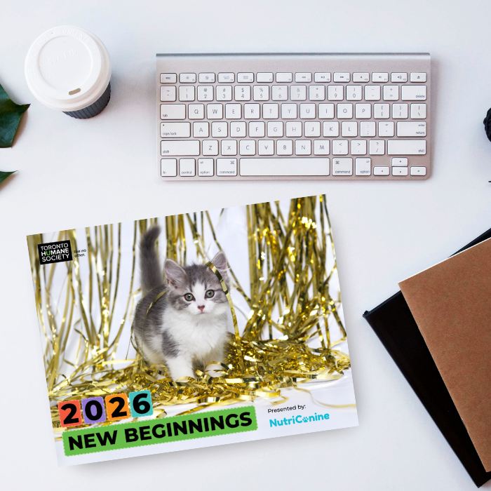 2026 New Beginnings Calendar