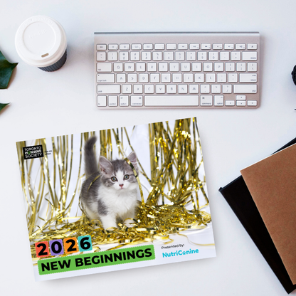 2026 New Beginnings Calendar