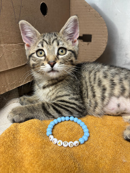 Custom Friendship Bracelet