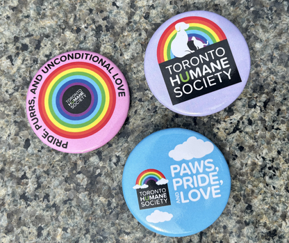 3 Pack of Pride Pins