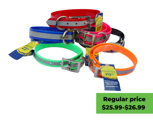 Dog Collars - Reflective