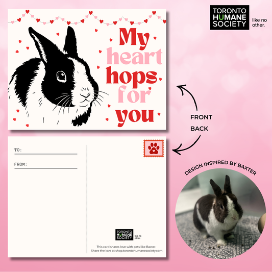 Valentine’s Day Mix Cards - 10 Pack