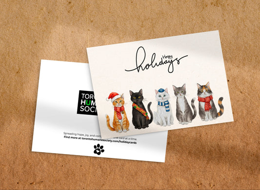 Holiday Card - Festive Cats