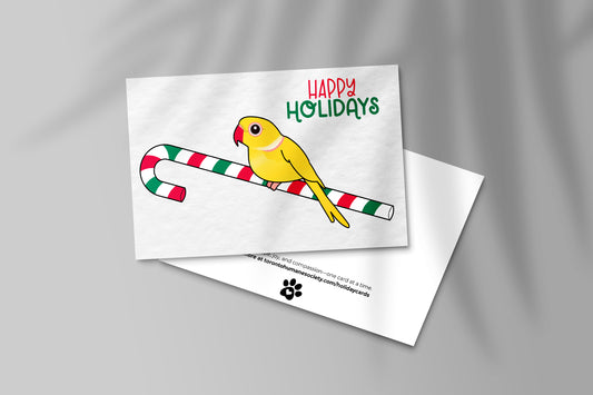Holiday Card - Sonny