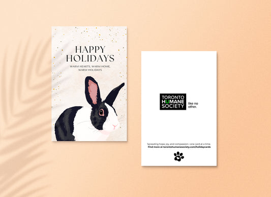 Holiday Card – Floppy the Bunny