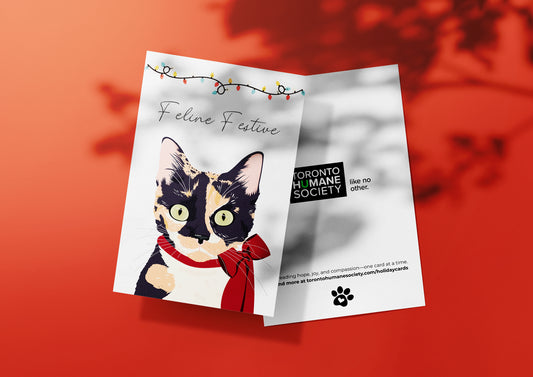 Holiday Card - Bubbles the Cat
