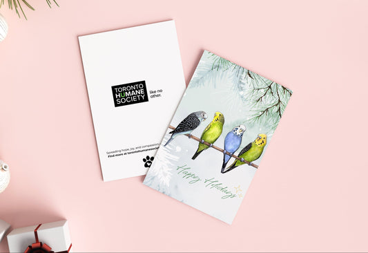Holiday Card - The Parakeet Quartet