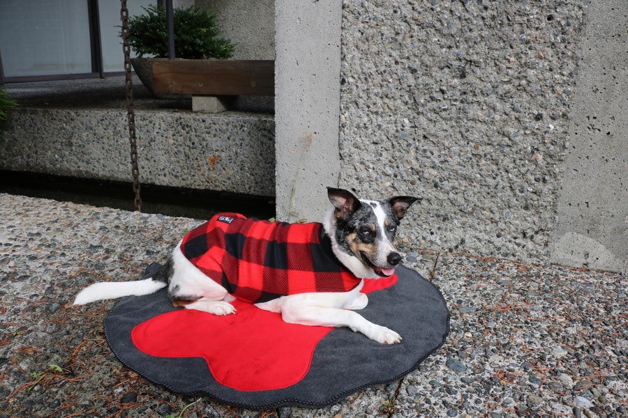 Rover Plaid Fuzzie Fleece Dog Coat 22" / Ruby Red & Black